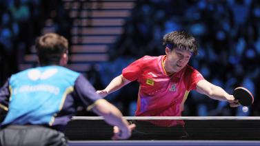 在确立基本 在确立基本